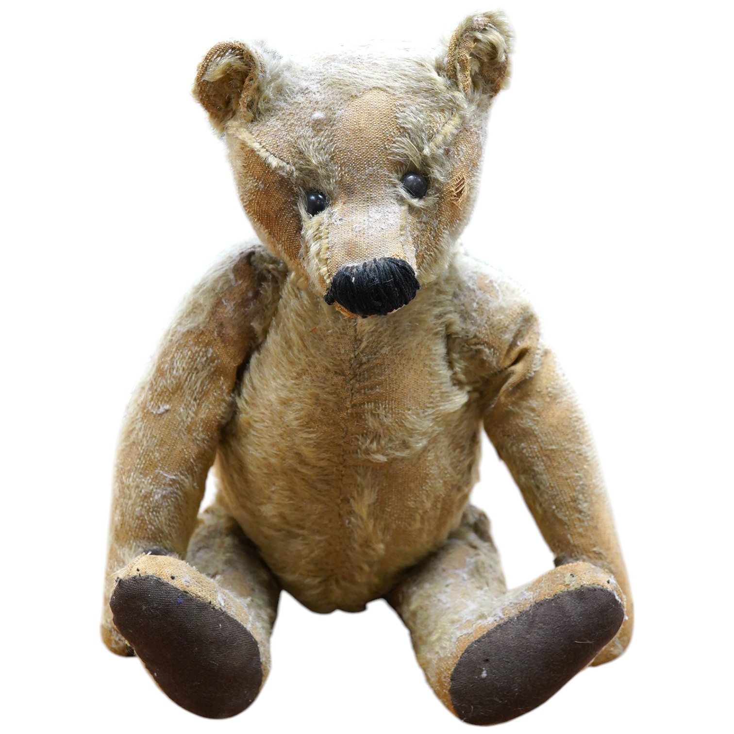 Steiff bear, circa 1910, nose repaired, holes to muzzle, hair loss, paw pads replaced, height 41cm